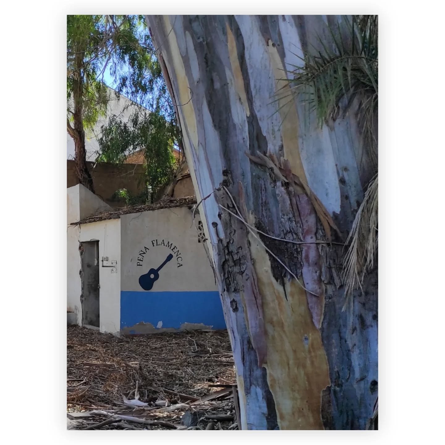 Fotografias dedicadas a la Pe&ntilde;a Flamenca de La Uni&oacute;n.
 -Antiguas Escuelas Graduadas-

@martinezmoron.arq @asociacioncultural_launion @aytolaunion @alberto_grinan_arquitectura 

#cantedelasminas #festivalflamenco #launi&oacute;n #cultura