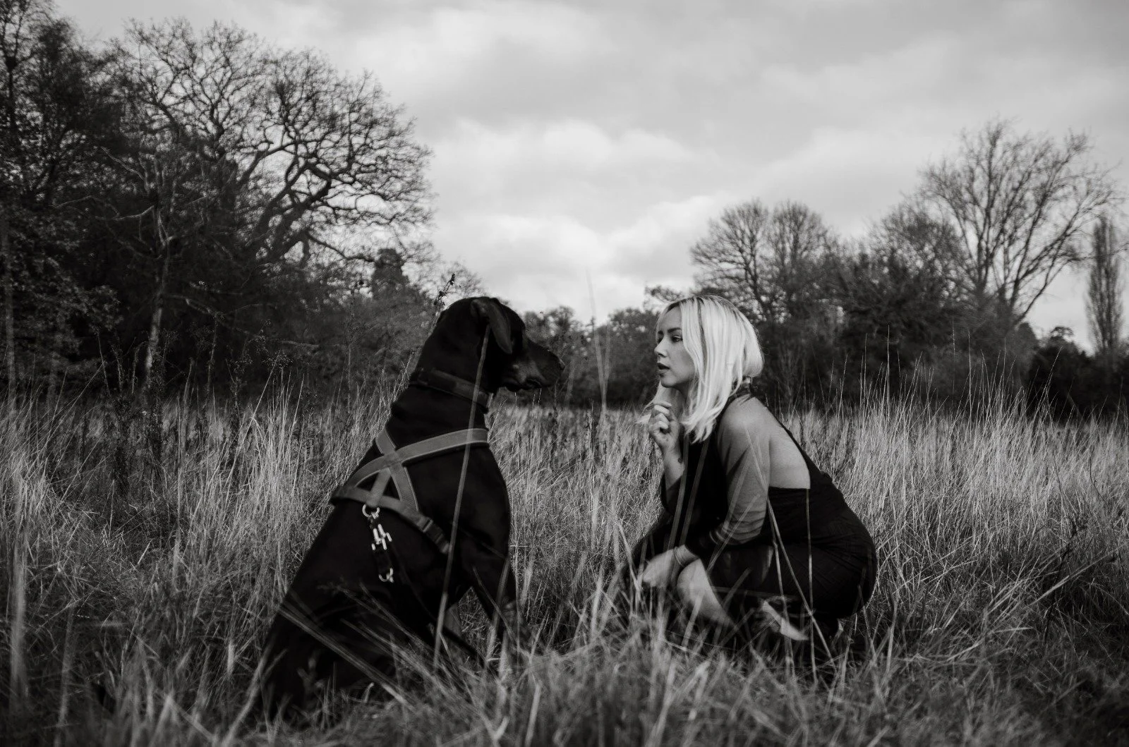 WhatsApp Image 2022-11-30 at 19.50.19.jpeg