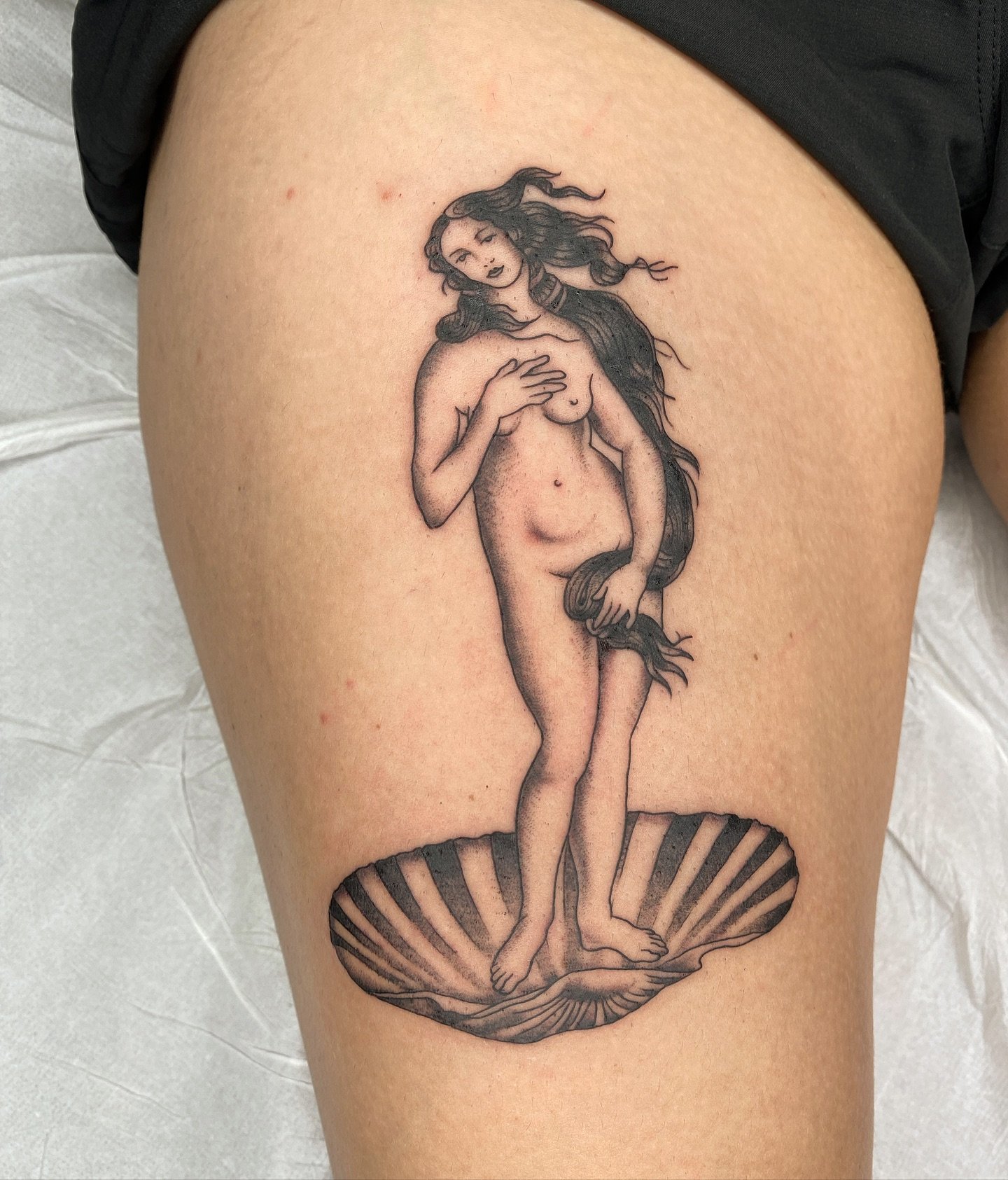 Venus 🐚🐚🐚.
APPOINTMENTS ⋙ portofineline.com 
.
Send us your idea and let&rsquo;s talk about your project✨
_______________________________________________

Other booking options: 

📩 DM
💌 portofineline@gmail.com
☎️ WhatsApp: (link na Bio)
🪩 port