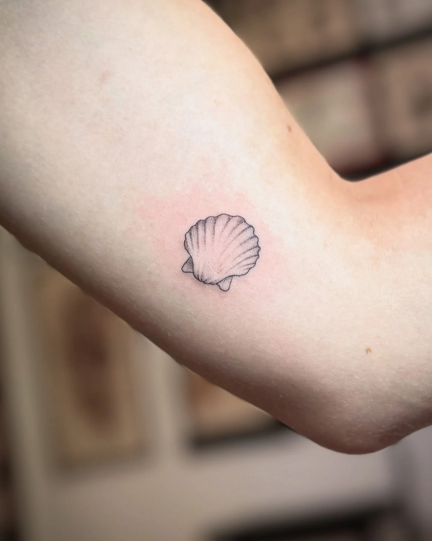 Small shell 🐚🐚🐚
Checkout our new website and make your appointment right a way.
.
APPOINTMENTS ⋙ portofineline.com 
.
Send us your idea and let&rsquo;s talk about your project✨
_______________________________________________

Other booking options