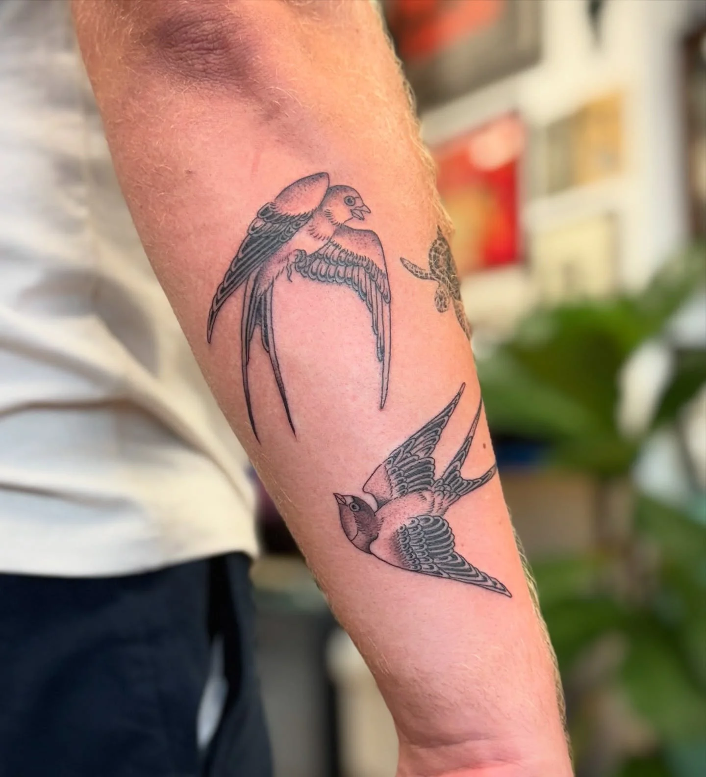 Swallows are always a classic! Thank you Cris!
.
Bookings are always open! Checkout our new website and make your appointment right a way.
.
APPOINTMENTS ⋙ portofineline.com 
.
Send us your idea and let&rsquo;s talk about your project✨

_____________
