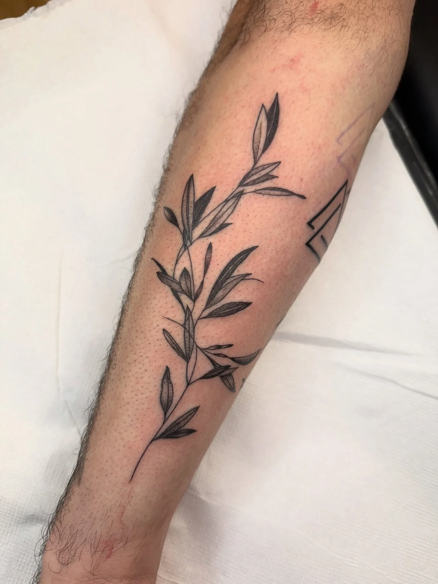 Bookings open for 2026 🍾🍾🍾
.
APPOINTMENTS ⋙ portofineline.com 
.
Send us your idea and let&rsquo;s talk about your project✨

______________________________________

#portofineline #tattoo #tattoos #dotwork #dotworktattooporto fineline portotattoos