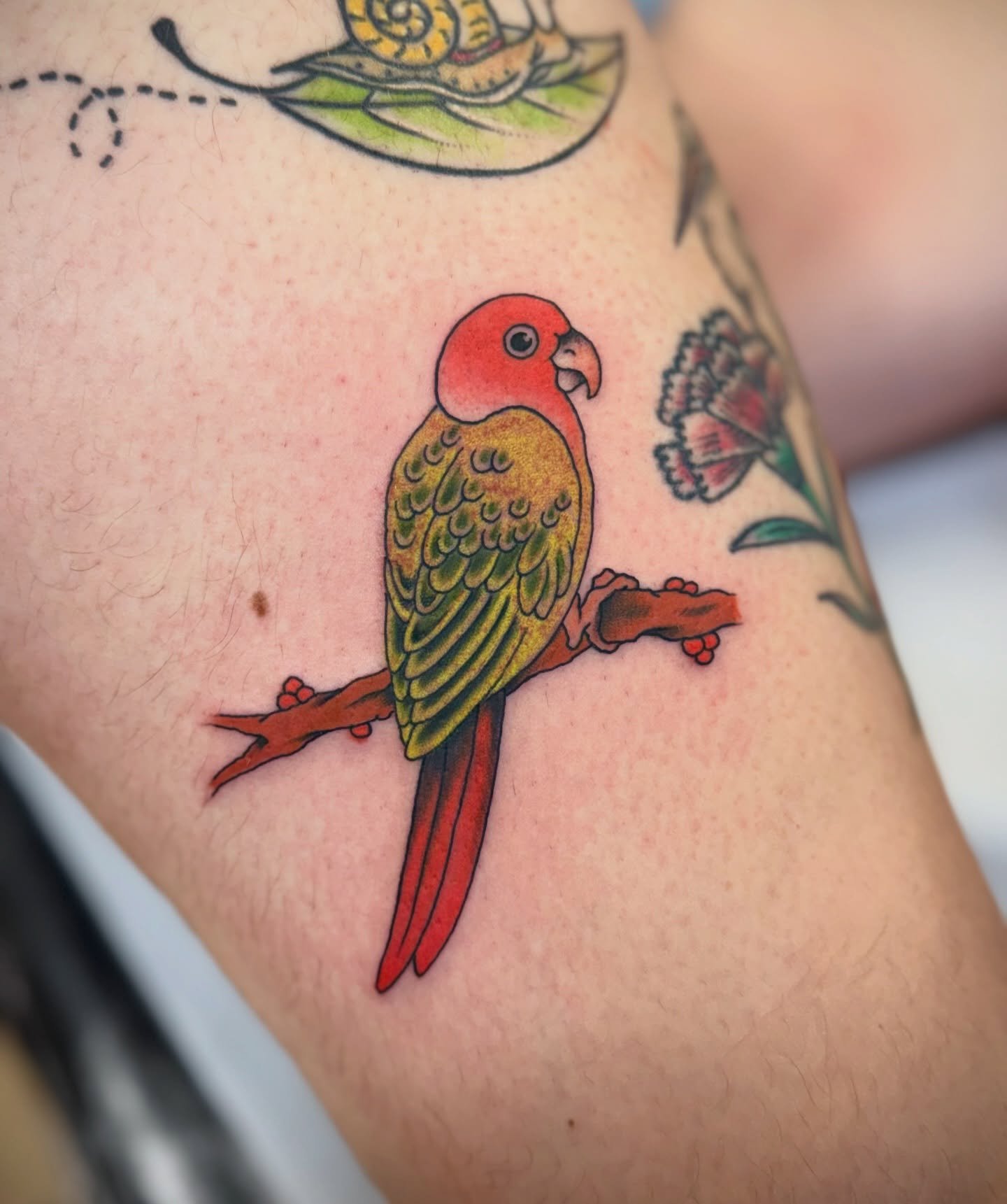 We love making colorful tattoos. Bookings are always open! Checkout our website and make your appointment right a way ✨
.
APPOINTMENTS ⋙ portofineline.com 
.
Send us your idea and let&rsquo;s talk about your project✨

________________________________