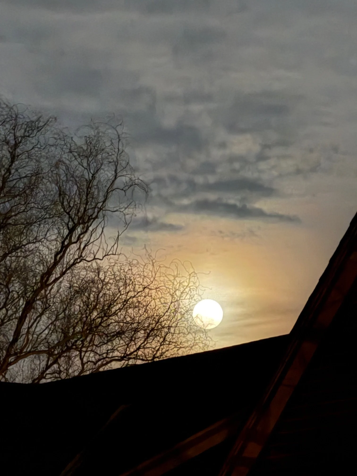 IMG_5491 - Copy.jpeg