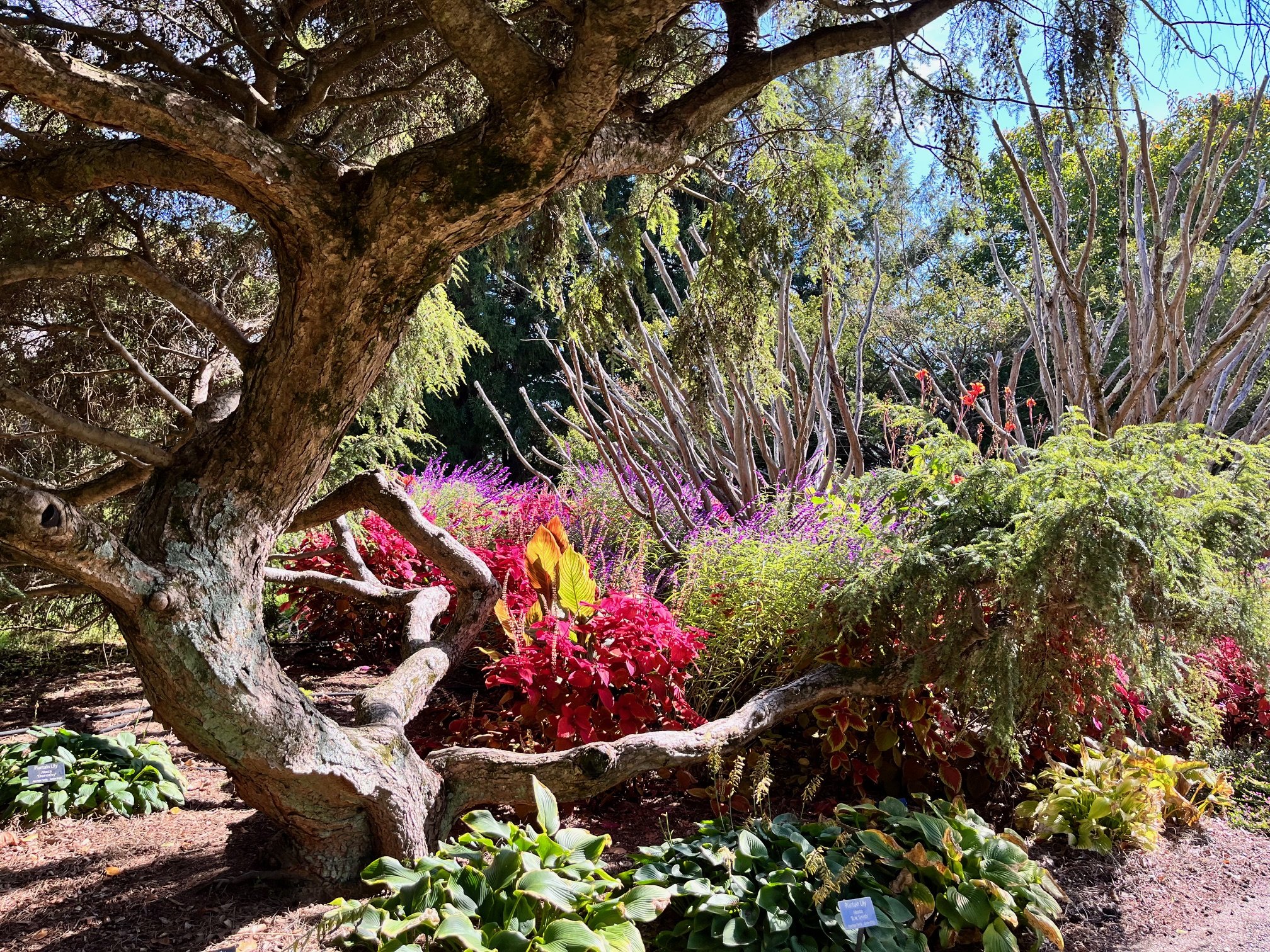 The Energy of Emergence