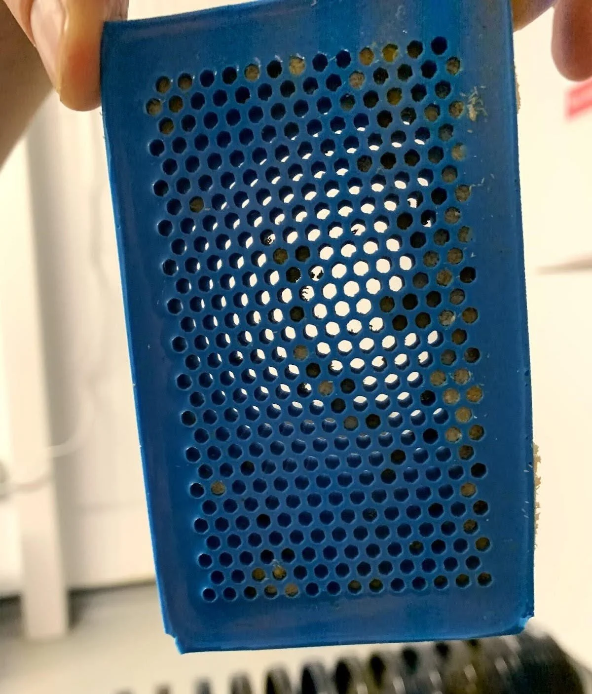 Designing With Intention: The R&D Journey Behind our Egg Traps ...