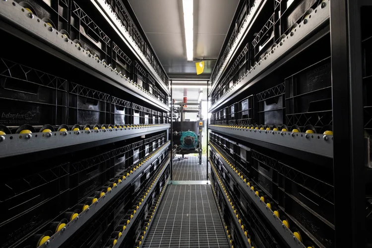 Future Insect Farm Entocycle raises funding as new farm opens — Entocycle | Insect Farming ...