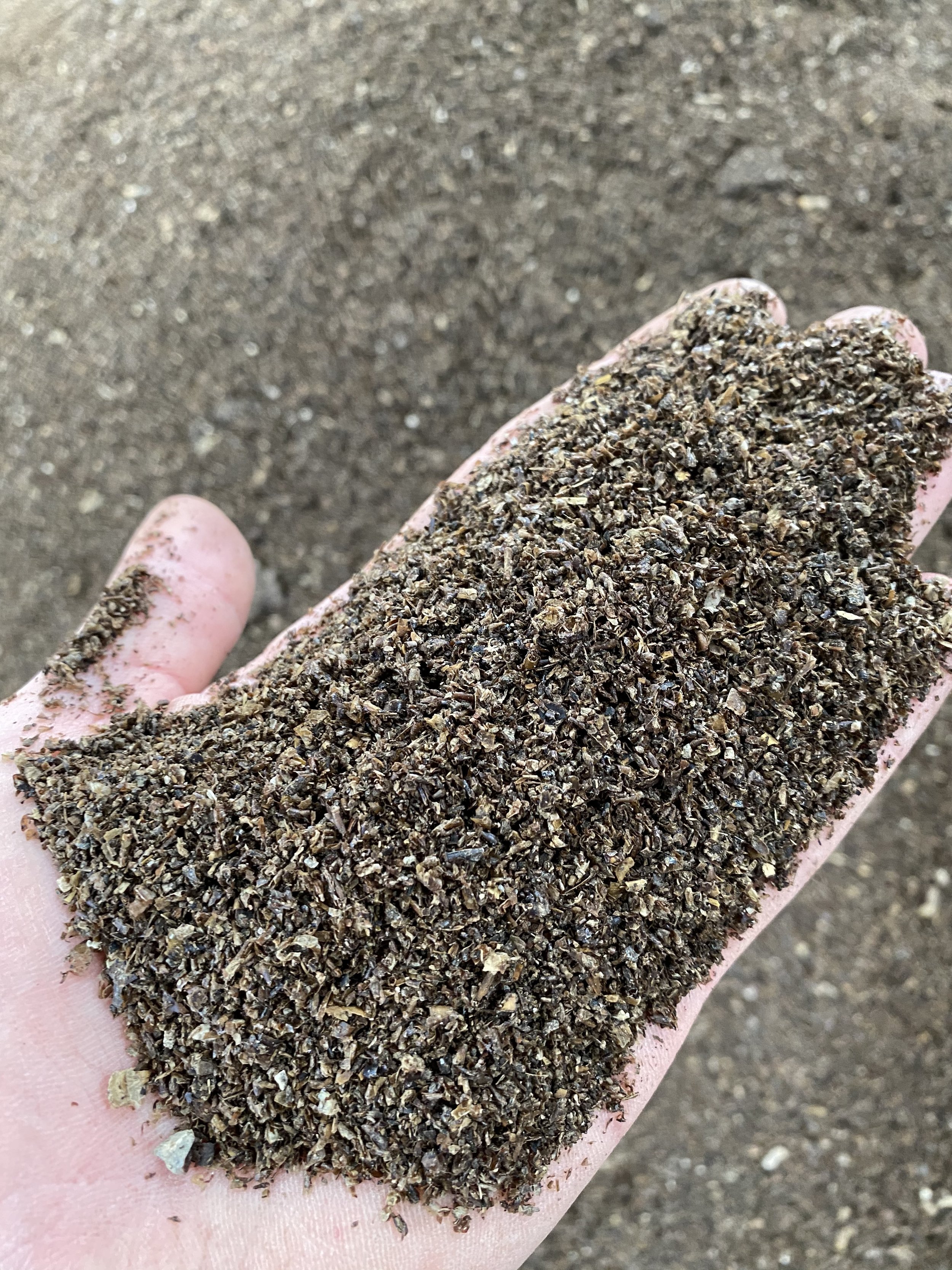 entocycle organic bsf black soldier fly frass fertiliser