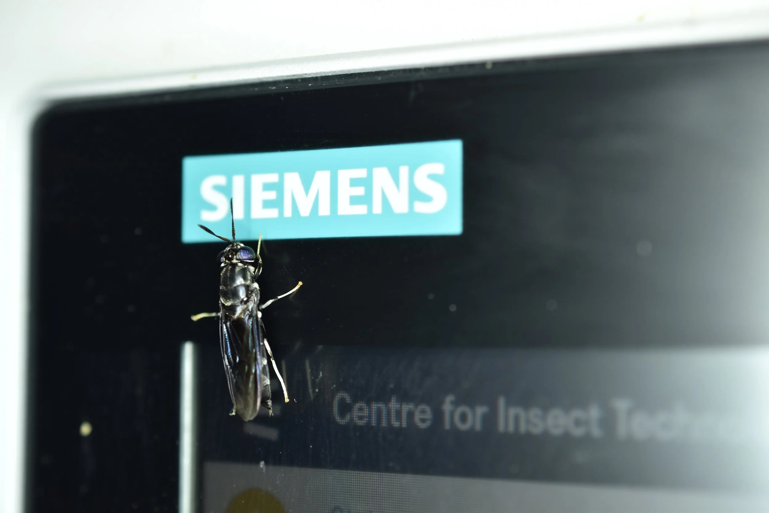 Entocycle technology partnership collaboration with Siemens
