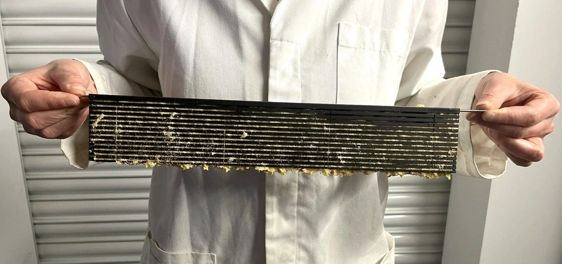 Entocycle's R&D egg trap project results