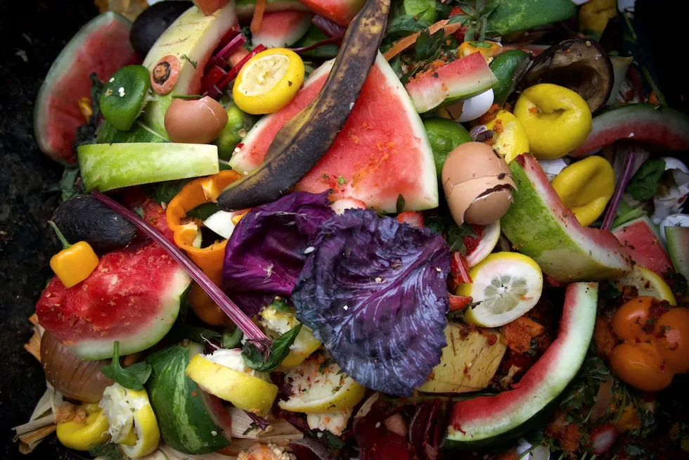 insect farming for waste management