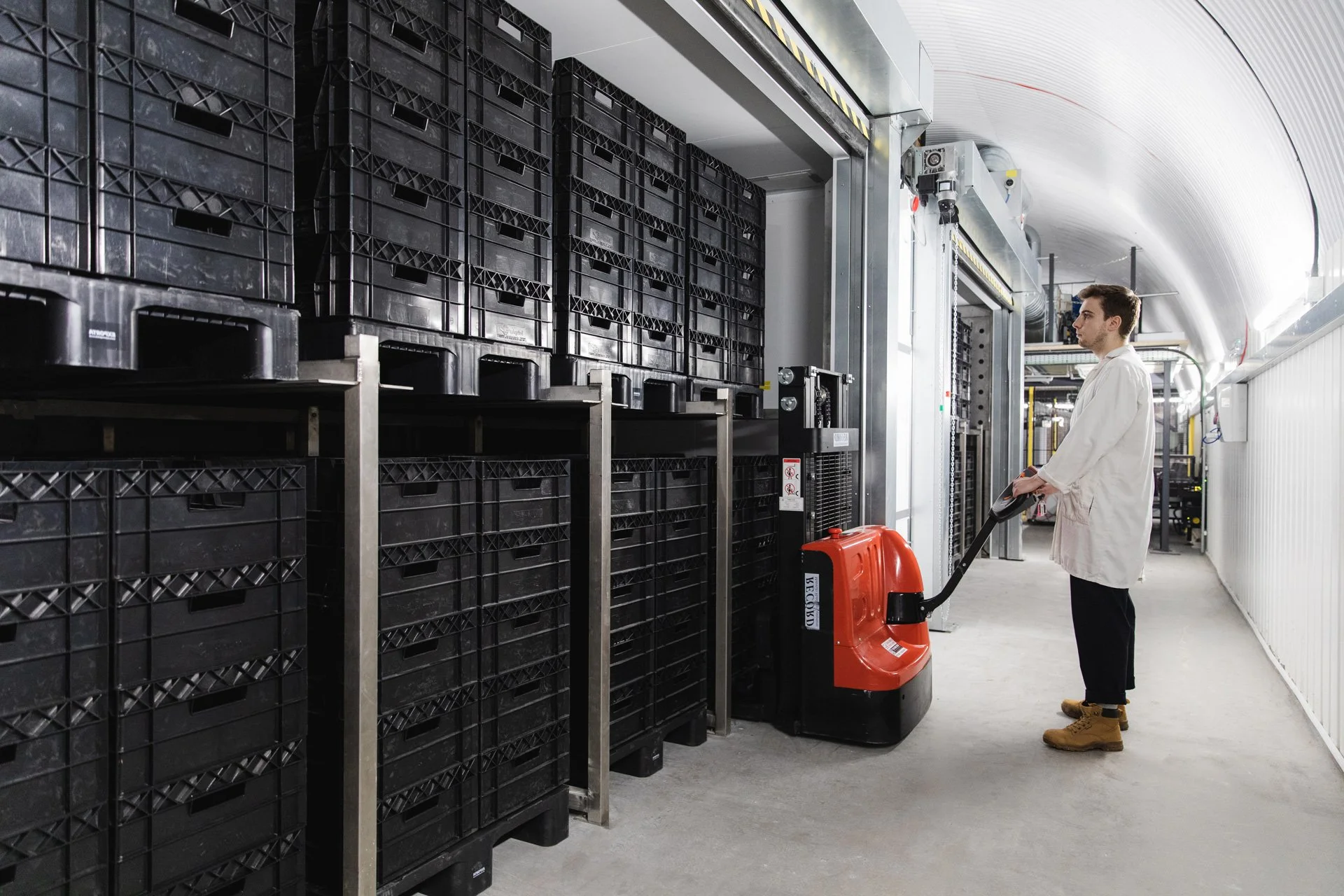 Modular insect farming technology — Entocycle | Insect farming technology