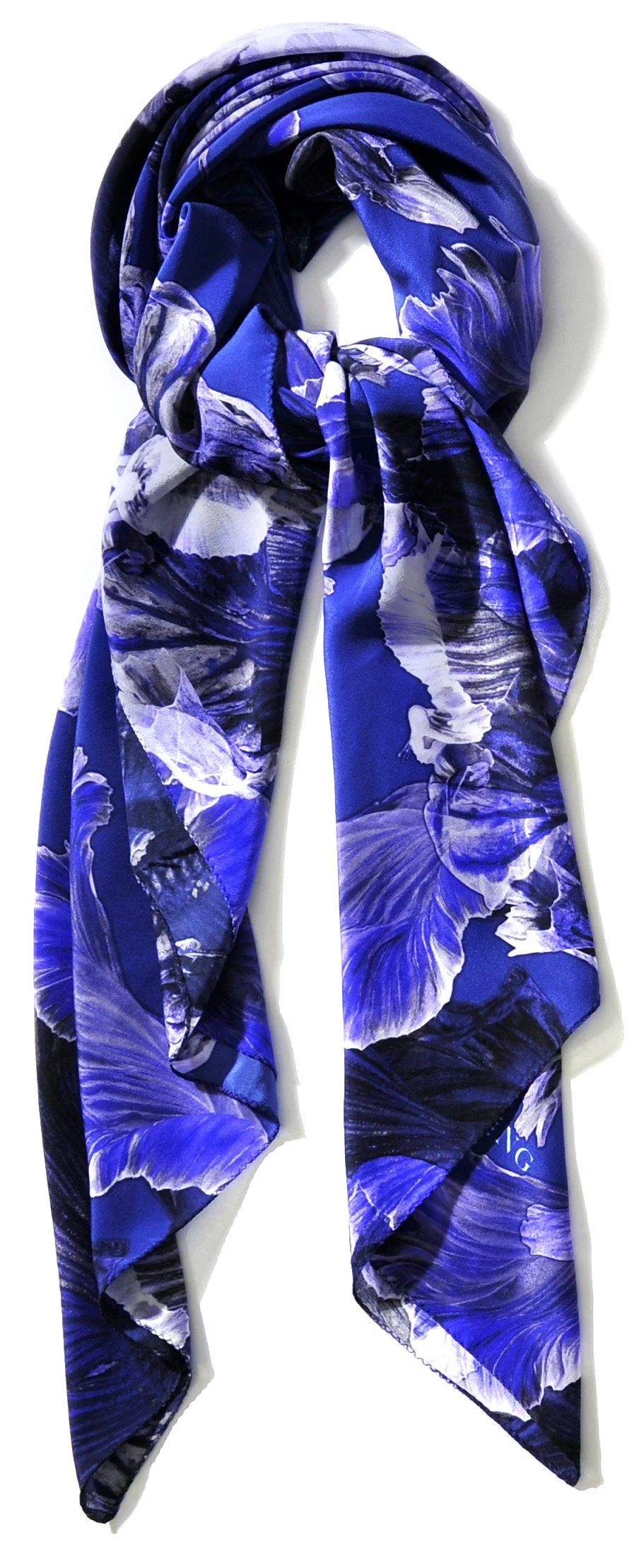 fighting fish blue.JPG