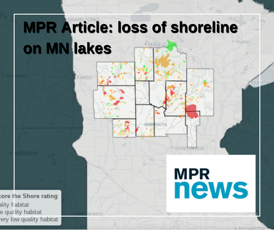 10 key data points and graphs about loss of shoreline on Minnesota’s lakes 