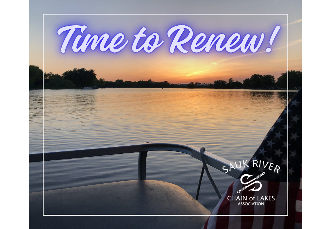 🌊 Help Us Protect the Chain! 🌊