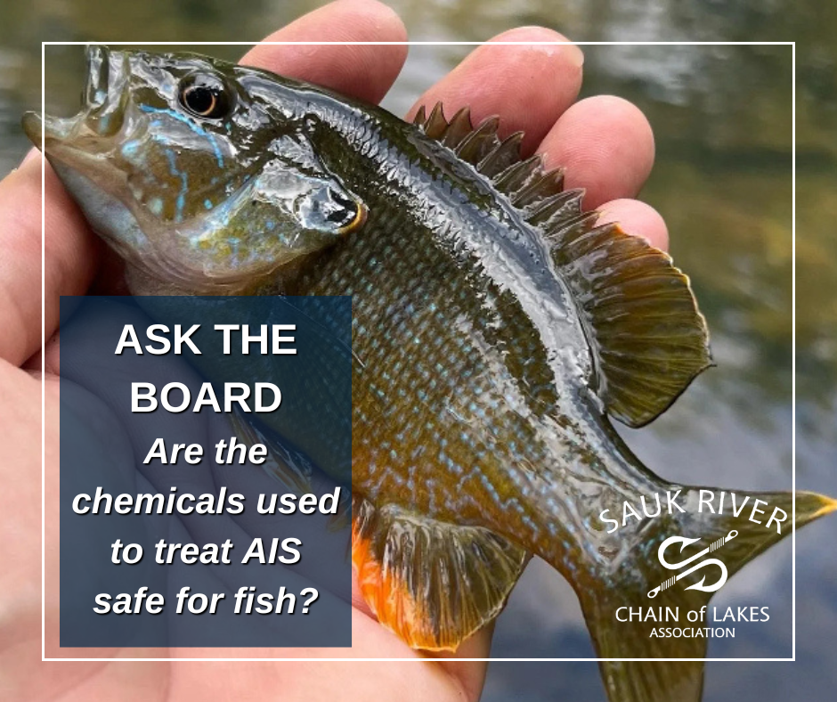 Ask The Board: Are Chemicals Safe for Fish?