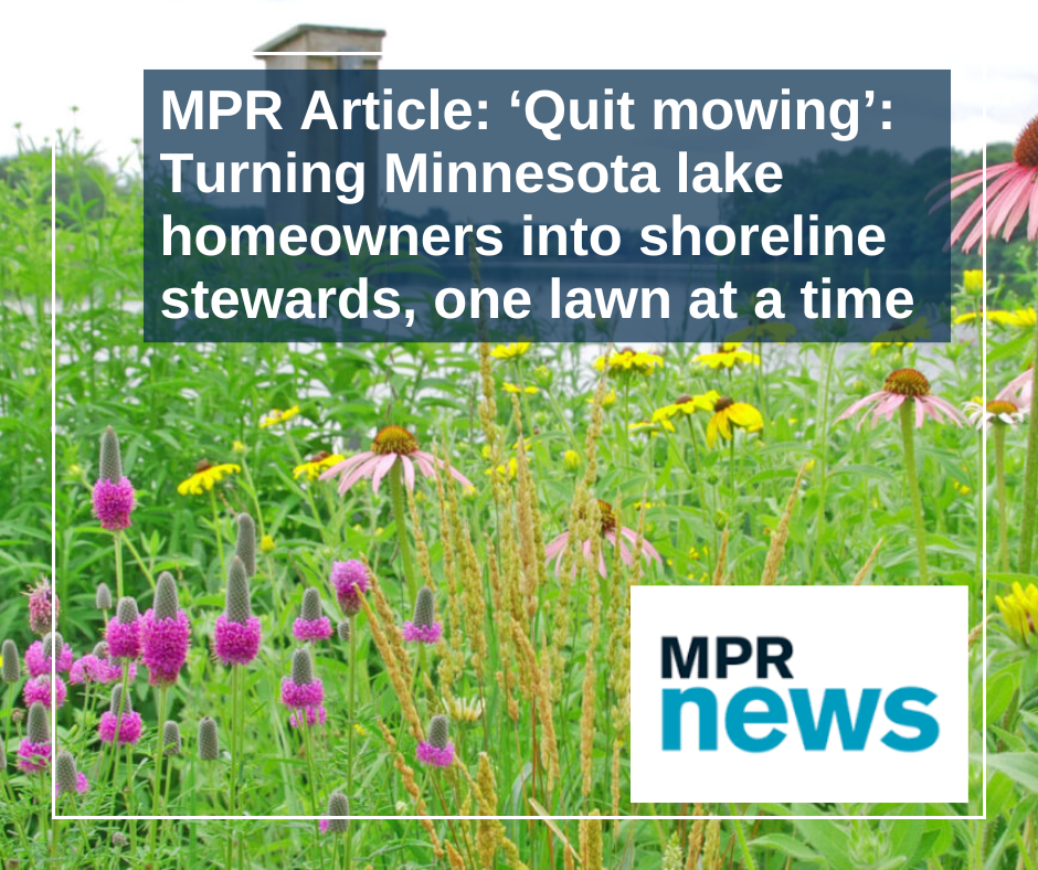 ‘Quit mowing’: Turning Minnesota lake homeowners into shoreline stewards, one lawn at a time