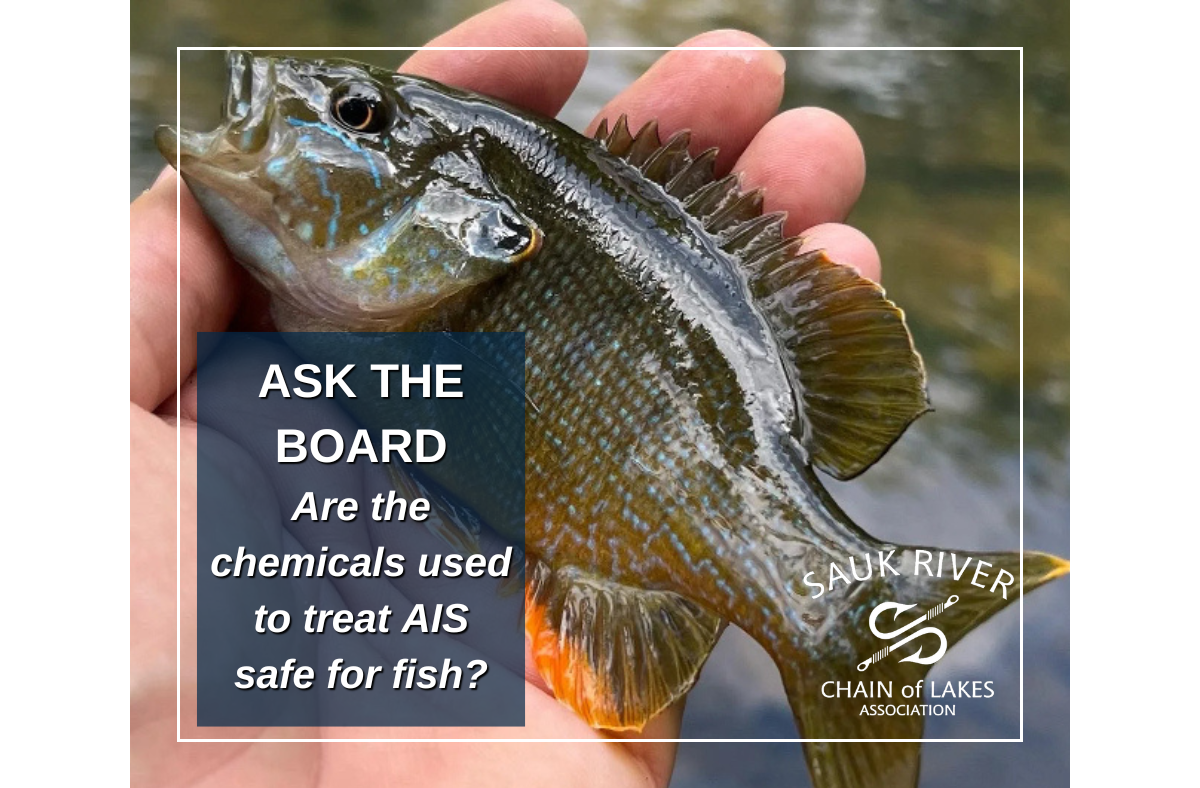 Ask The Board: Are Chemicals Safe for Fish?