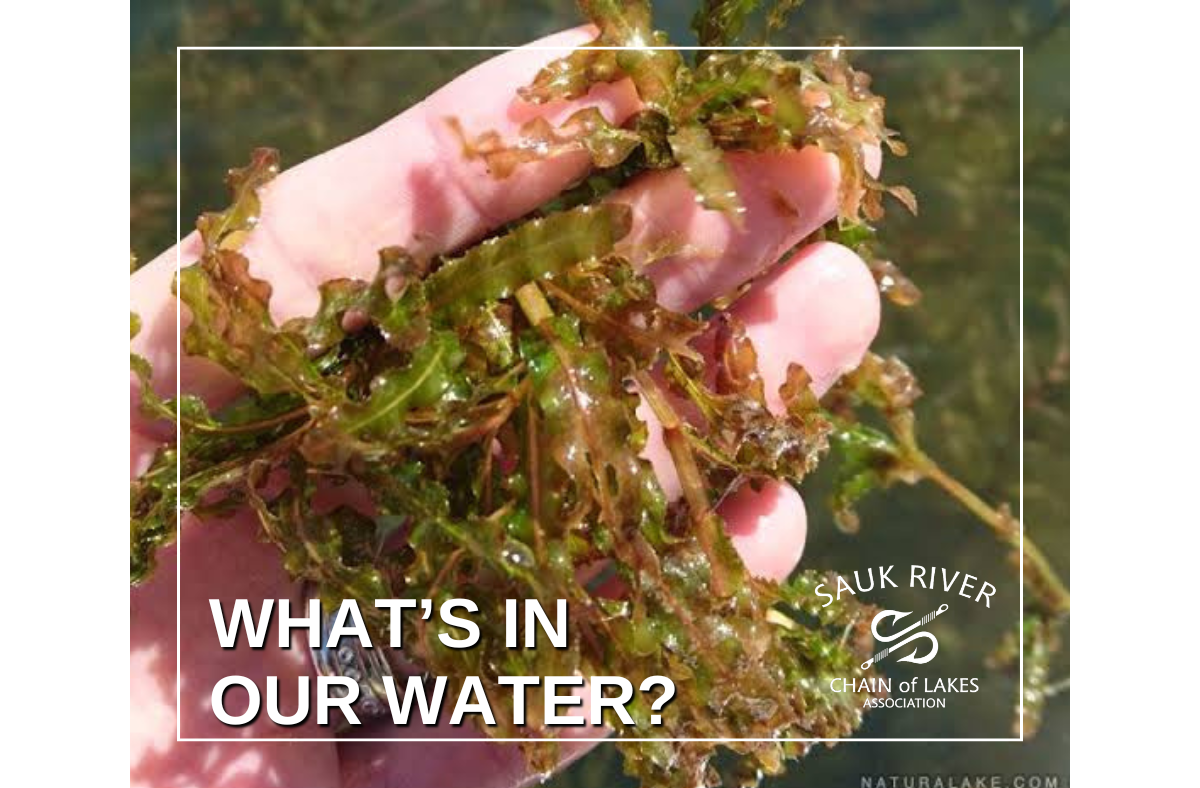 What's in our water?
