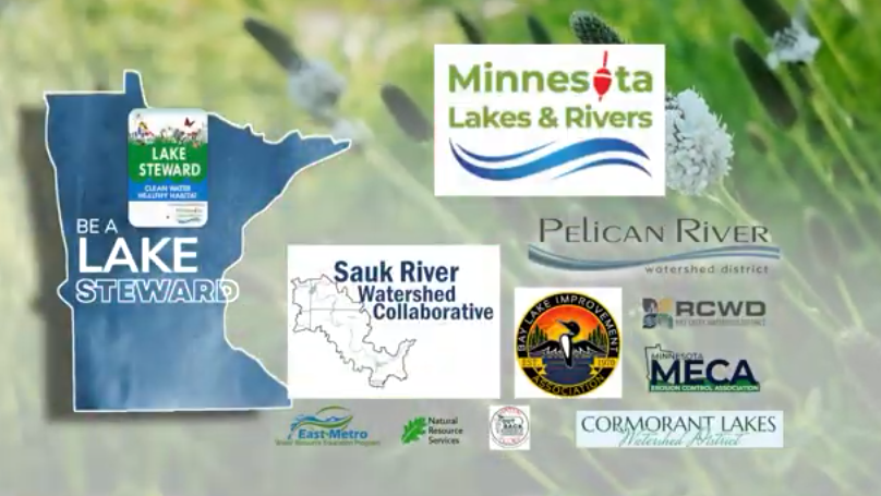 Reducing Lawn Fertilizer and Planting Native Shorelines Helps Stop Algae Blooms