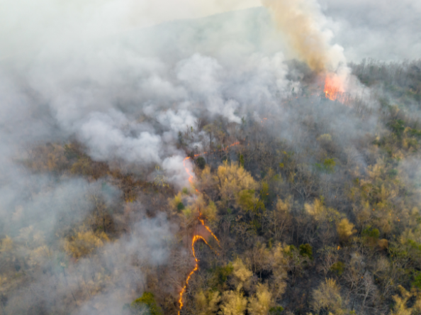Minimize Fire Risk