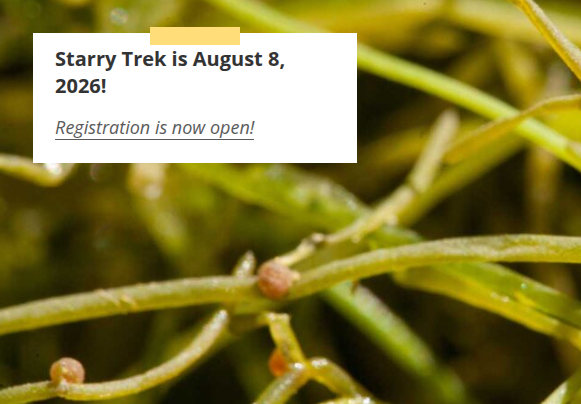 Starry Trek is August 8!