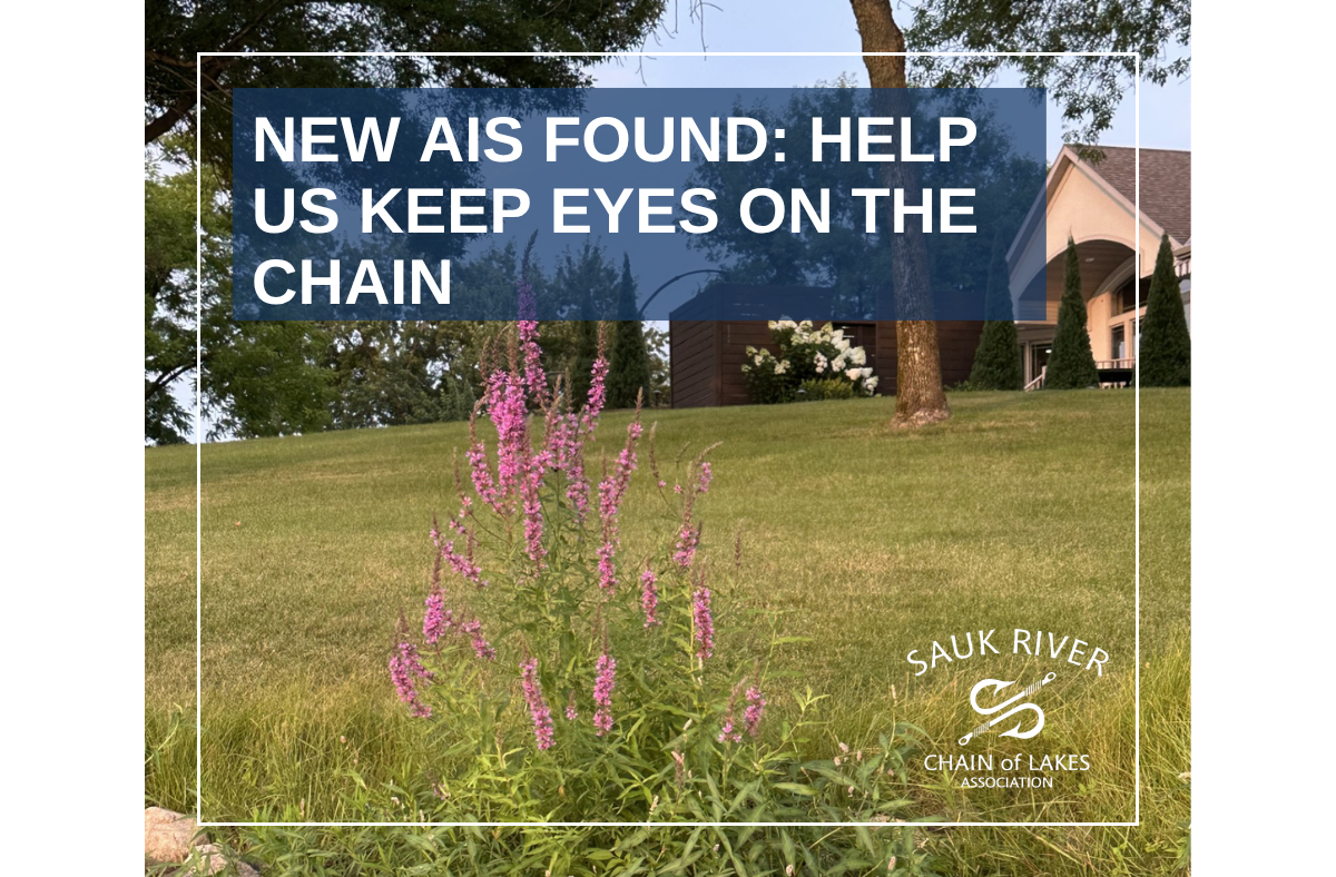 NEW AIS FOUND: Help us keep eyes on the Chain!
