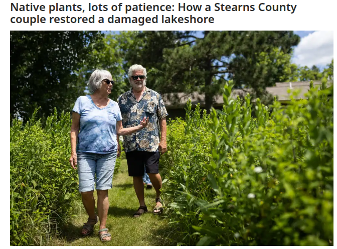 Native plants, lots of patience: How a Stearns County couple restored a damaged lakeshore