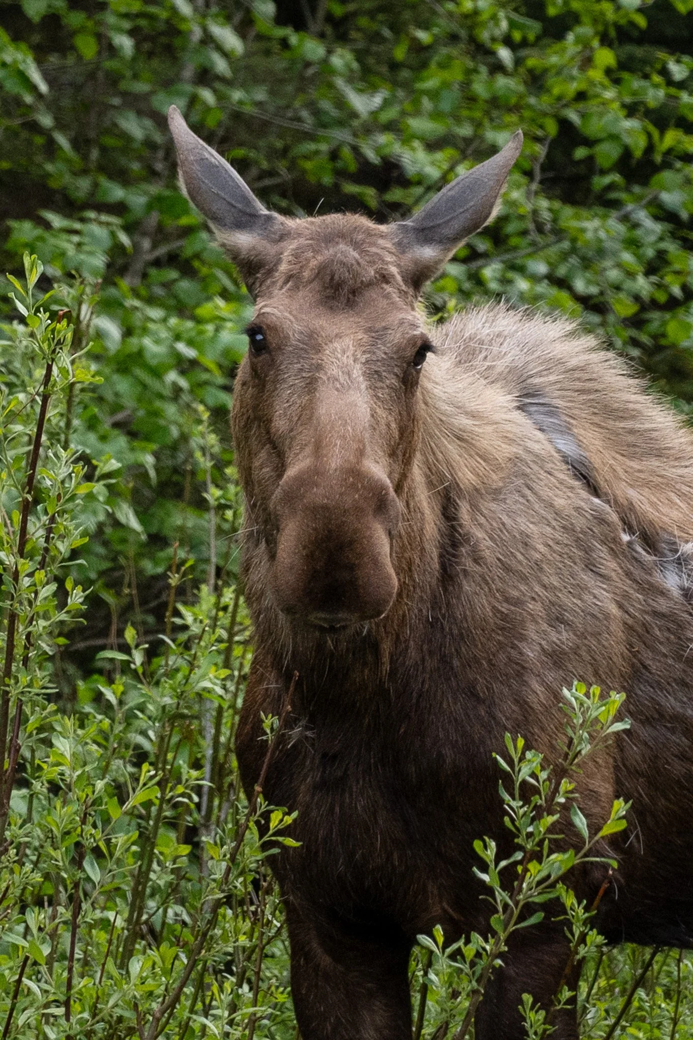 DSC_2864.jpg