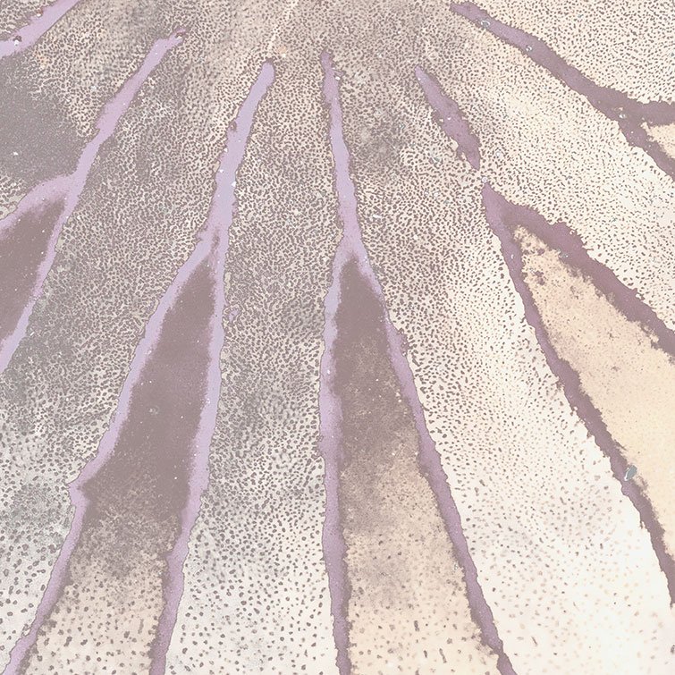 Un Trait De Violet, 2026