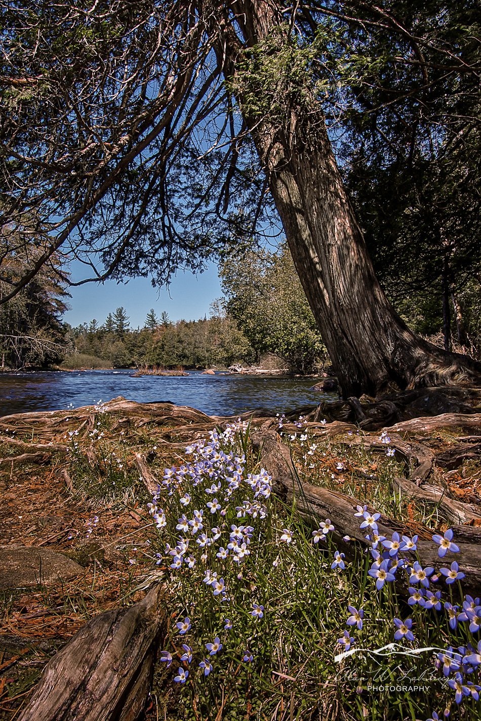portfolio-image-159.jpg