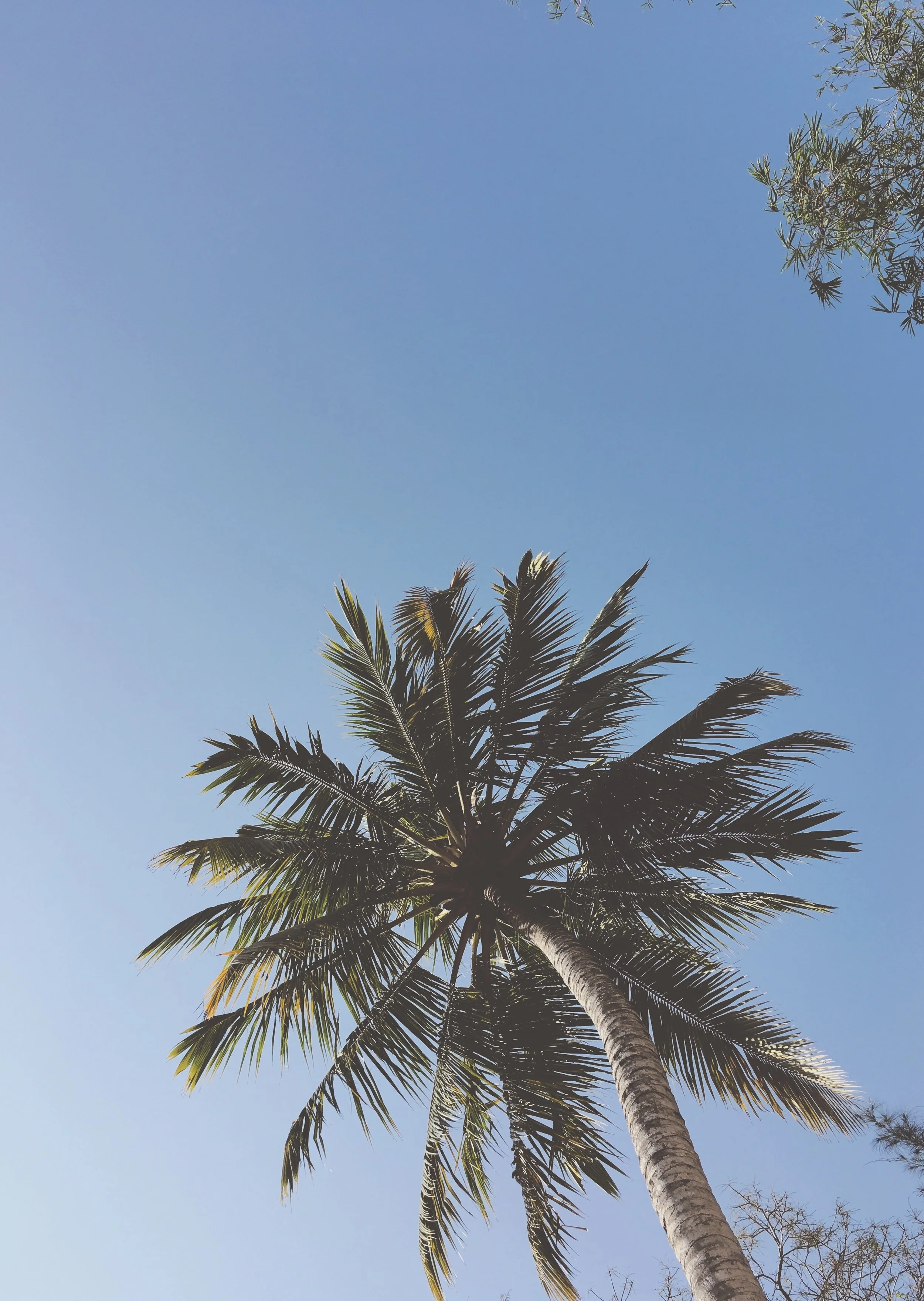 Was Verständnis verändern kann