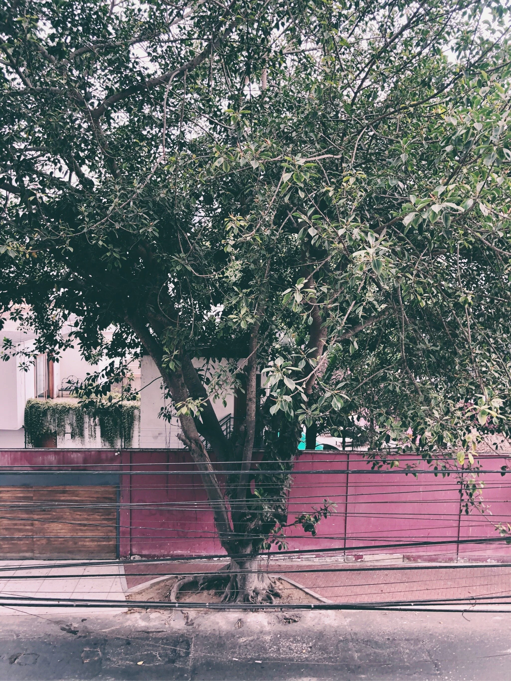 Wie du auch in Zeiten von Corona das Beste aus deinem Tag herausholst