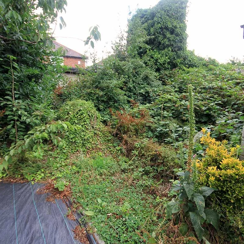 De tuin had een beetje liefde nodig