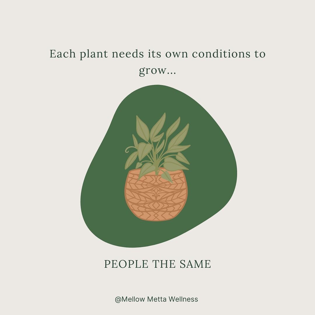 Each plant needs its own conditions to grow&hellip;  People the same. #dailyquotes #napervilleillinois #wheaonil #glenellyn