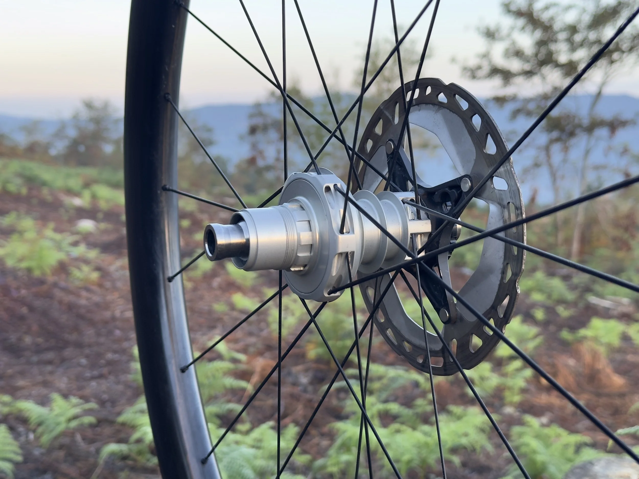 Lavelle Gr4 Rear Hub.jpeg