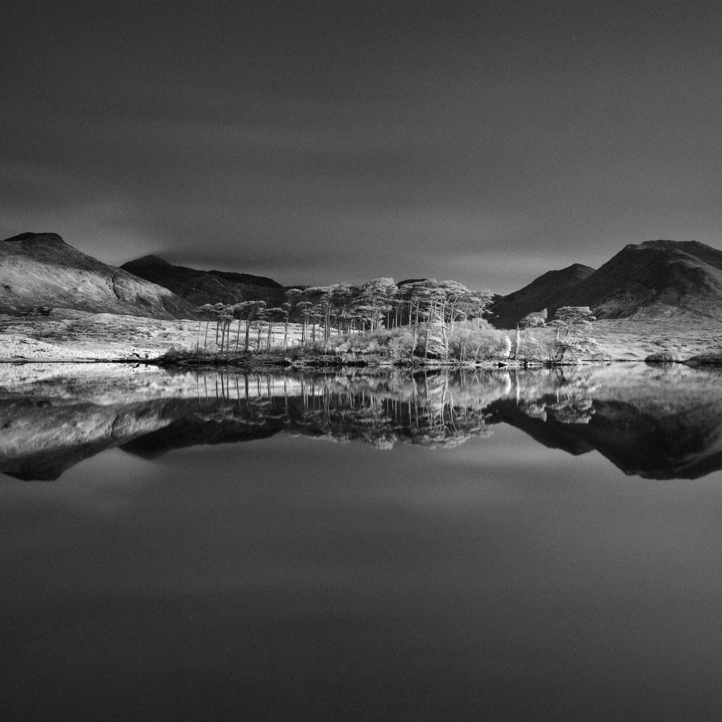 Silent Waters, Silent Trees