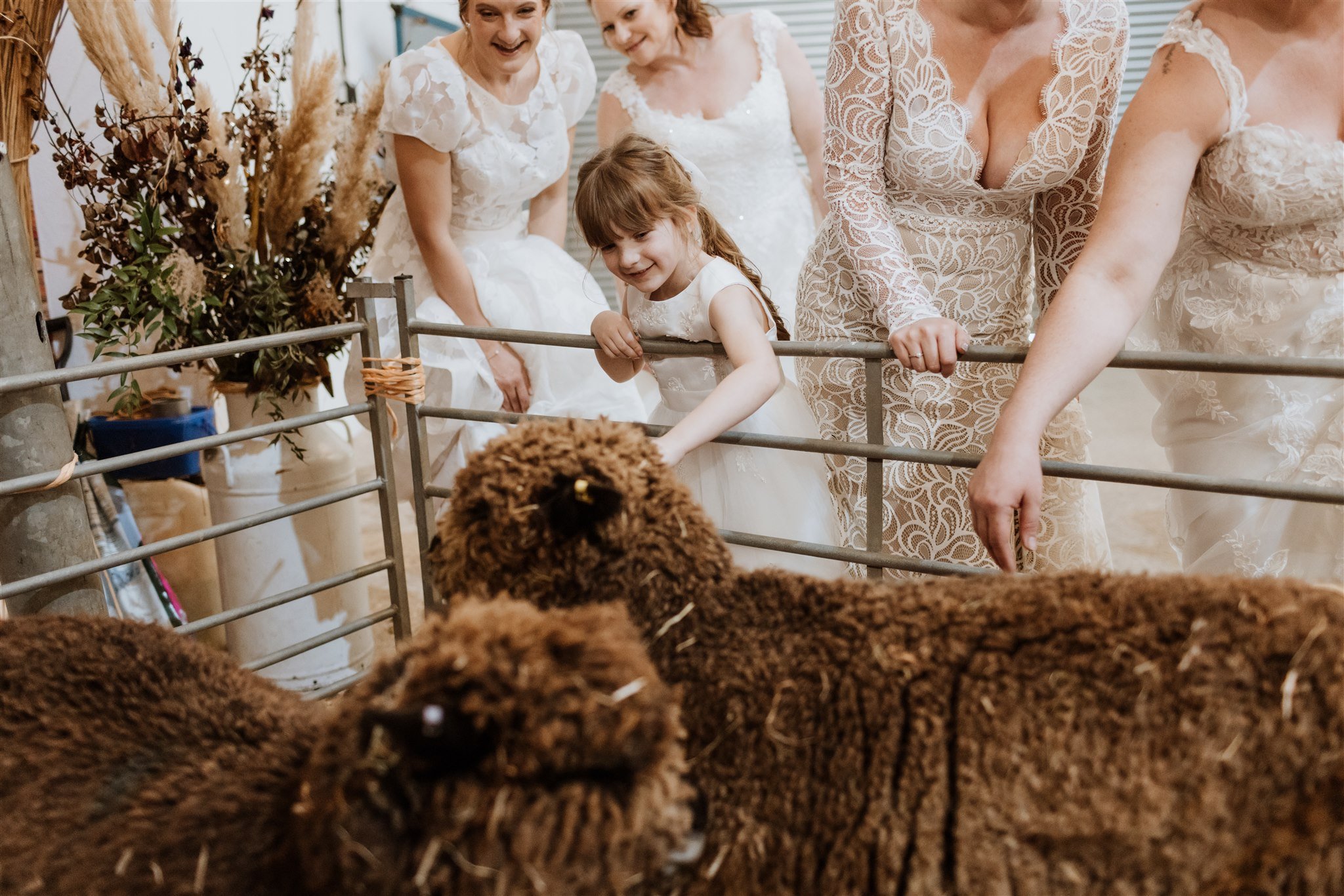 Wedding fair models photoshoot with venues resident sheep - cute! Held at The Big Southwest Wedding Fair