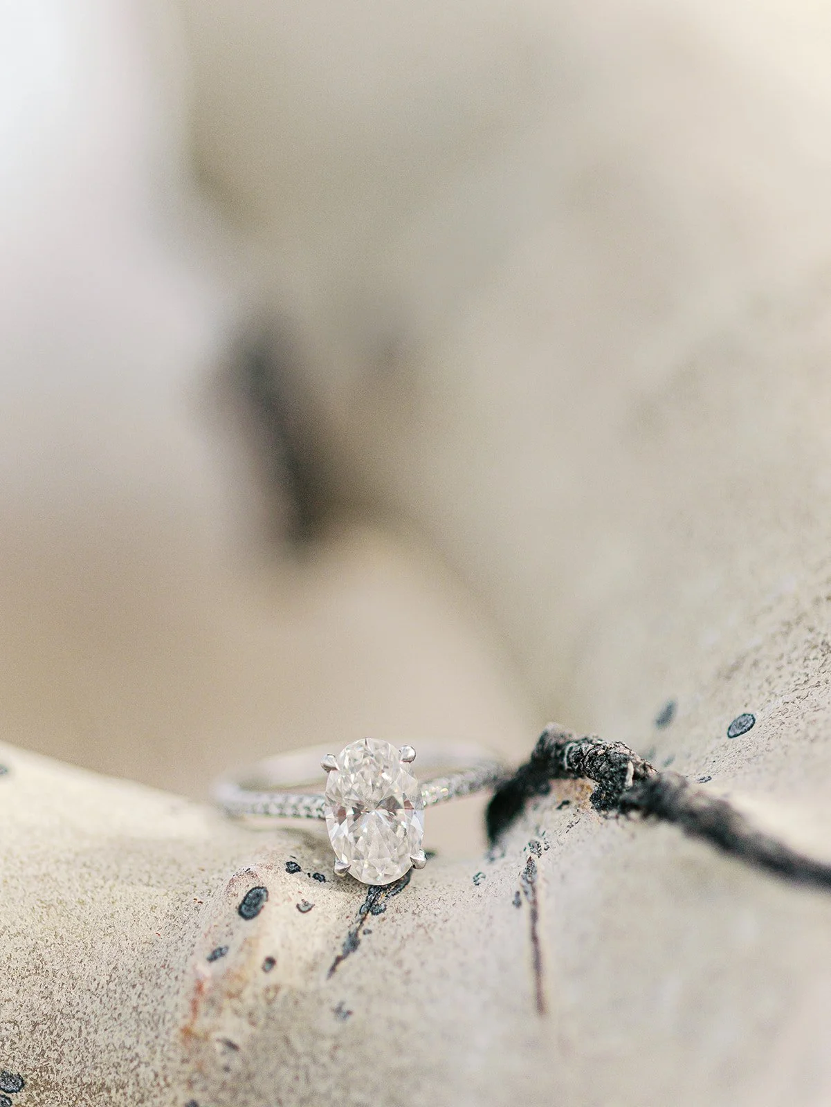 JessSlaterPhotography - Morgan+ Maria Eshoot-25.jpg