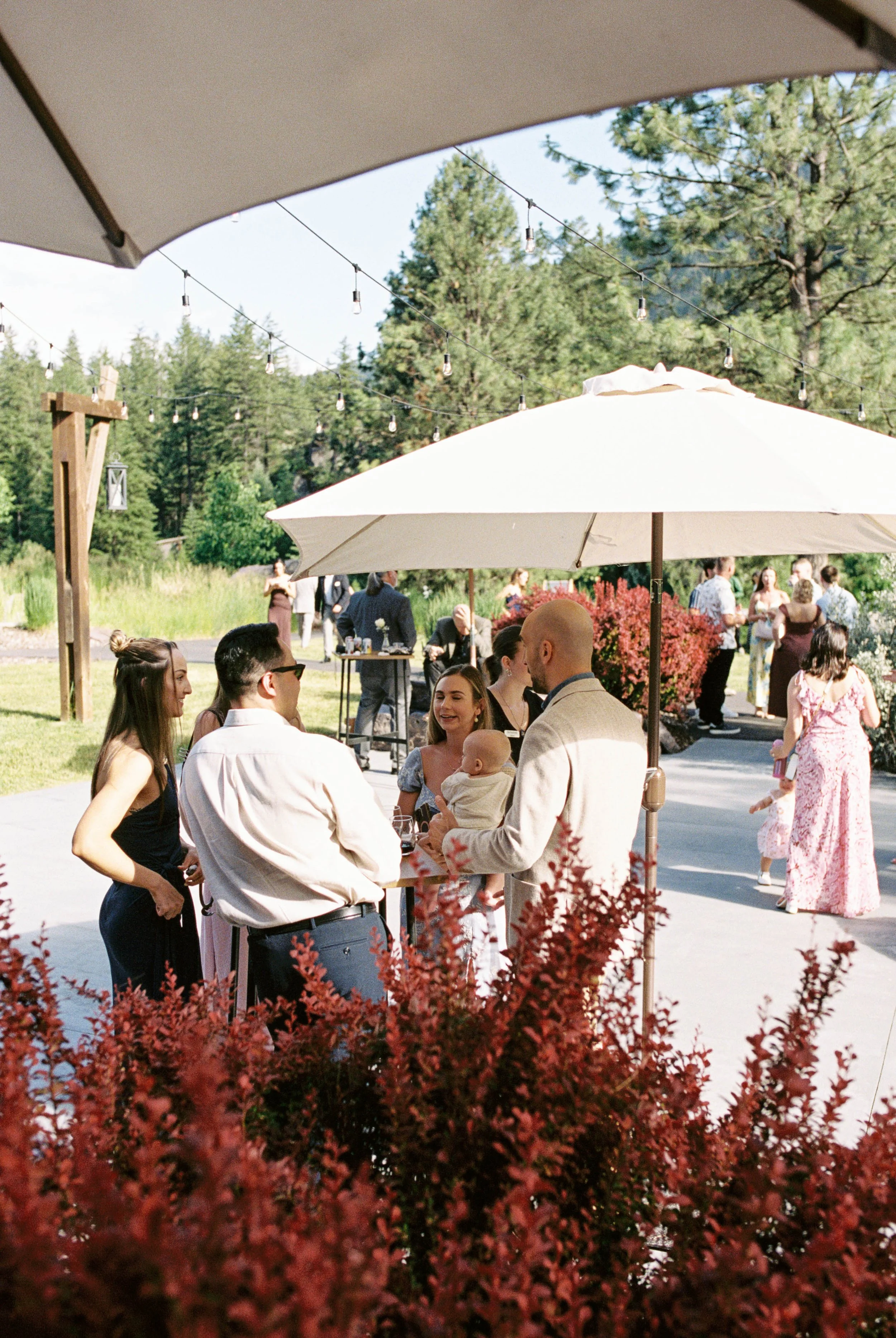 JessSlaterPhotography - Lemon Wedding FILM BLOG-78.jpg