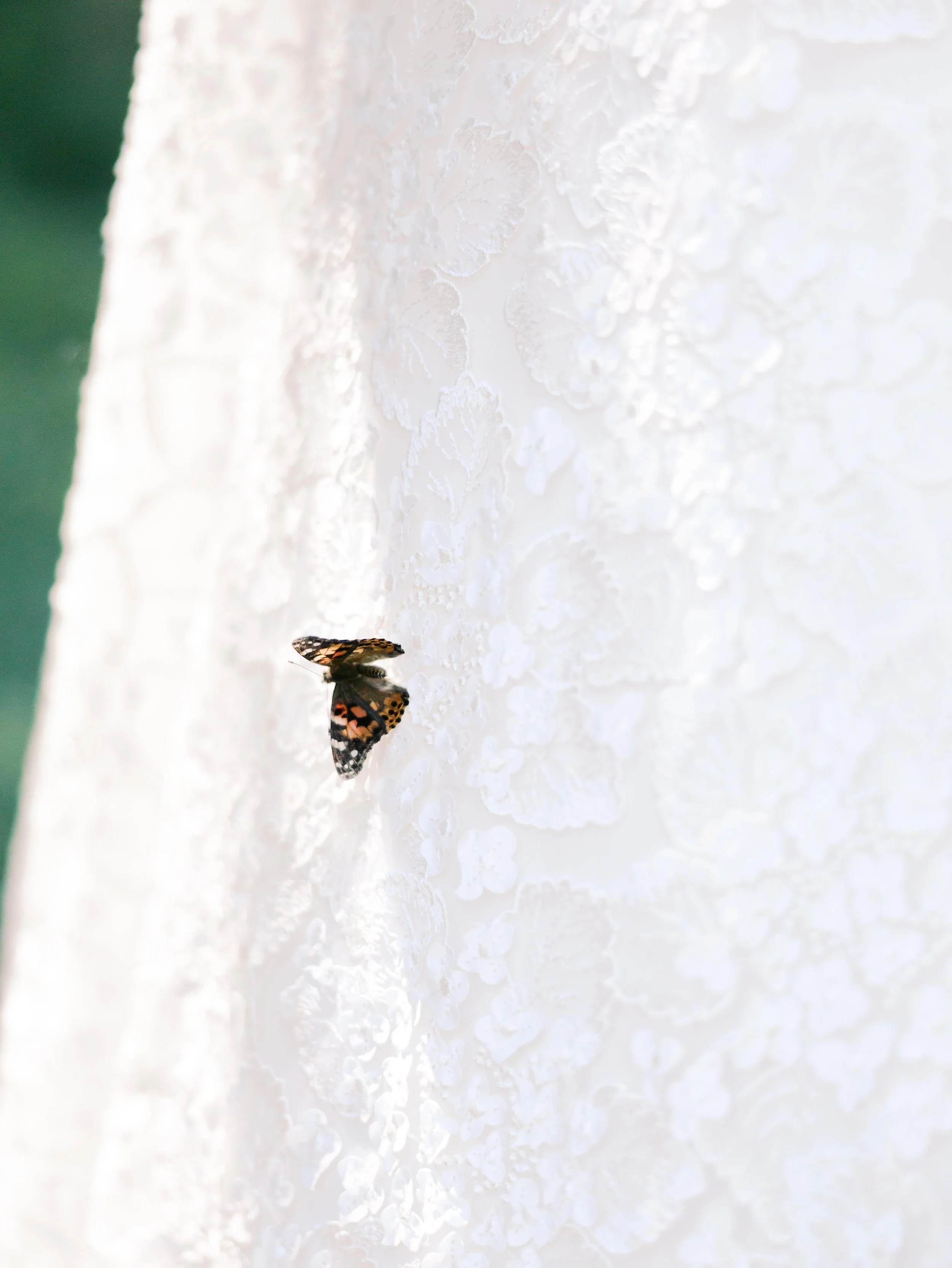 JessSlaterPhotography - Jacob & Raychl Blog-123.jpg