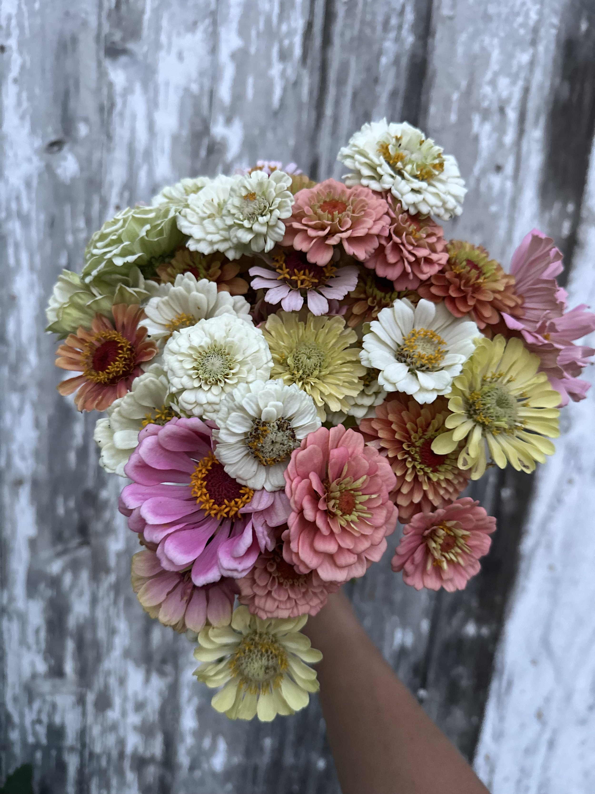 Hand Held Mini Bouquet — Eleven Mile Farm