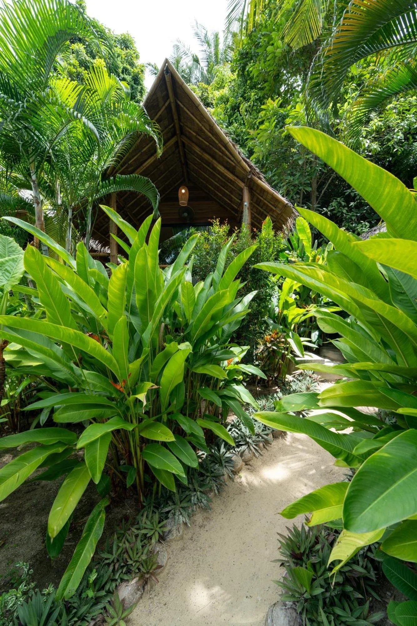 bamboo-bay-eco-resort-srithanu-pic-75.JPEG