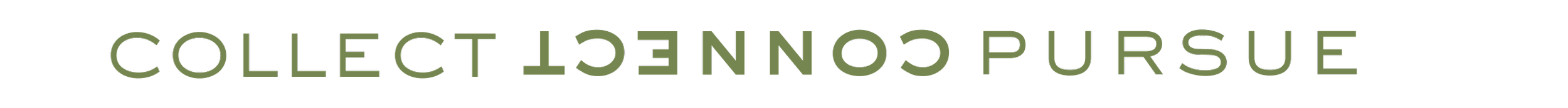 Collect Connect Pursue Digital Serendipity Platform