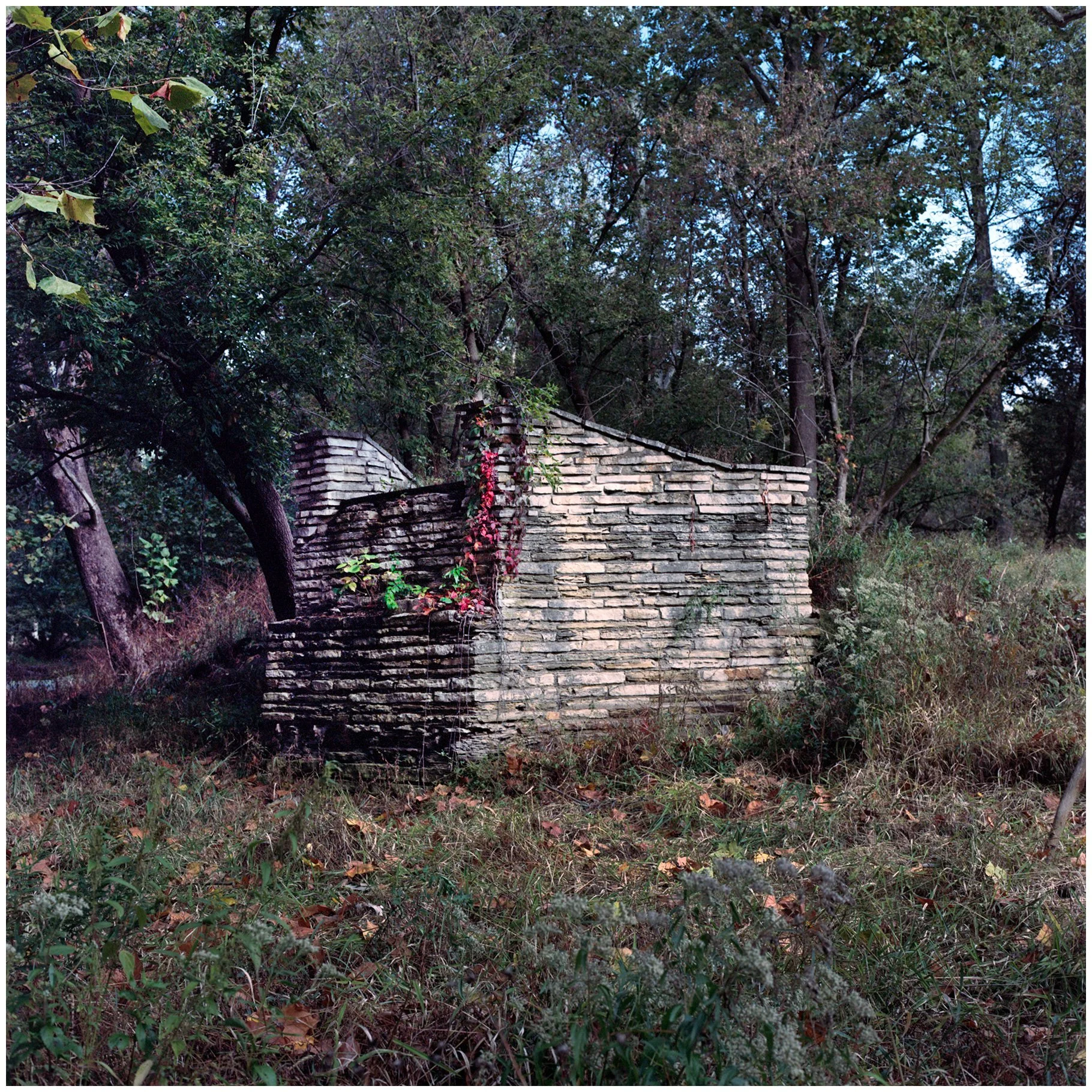 10/19/2025: Fullersburg Woods, Oak Brook IL; Hasselblad 503CW; Portra 160 Film.