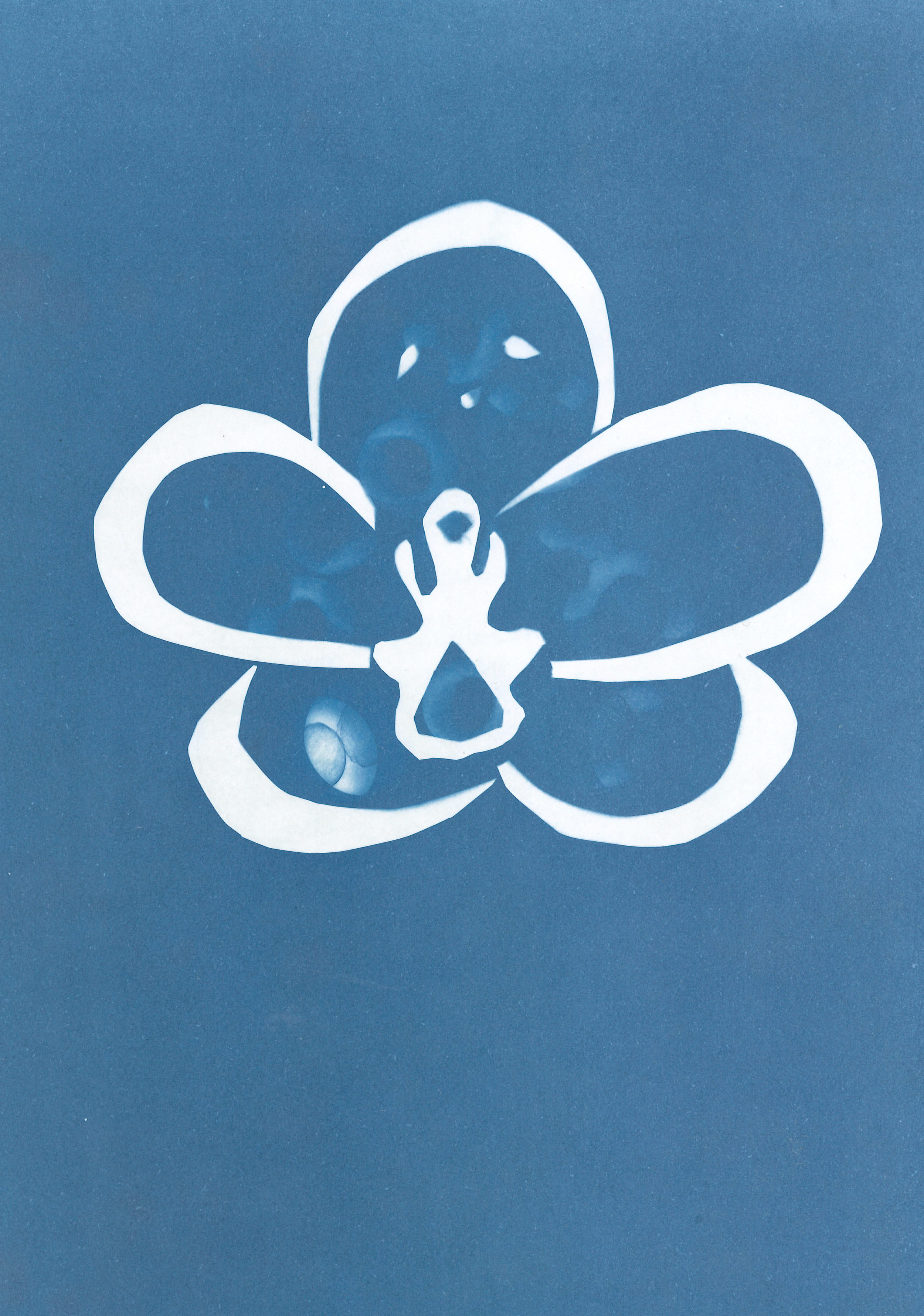 PDF_scan_job_18_20260807_141023 copy.png