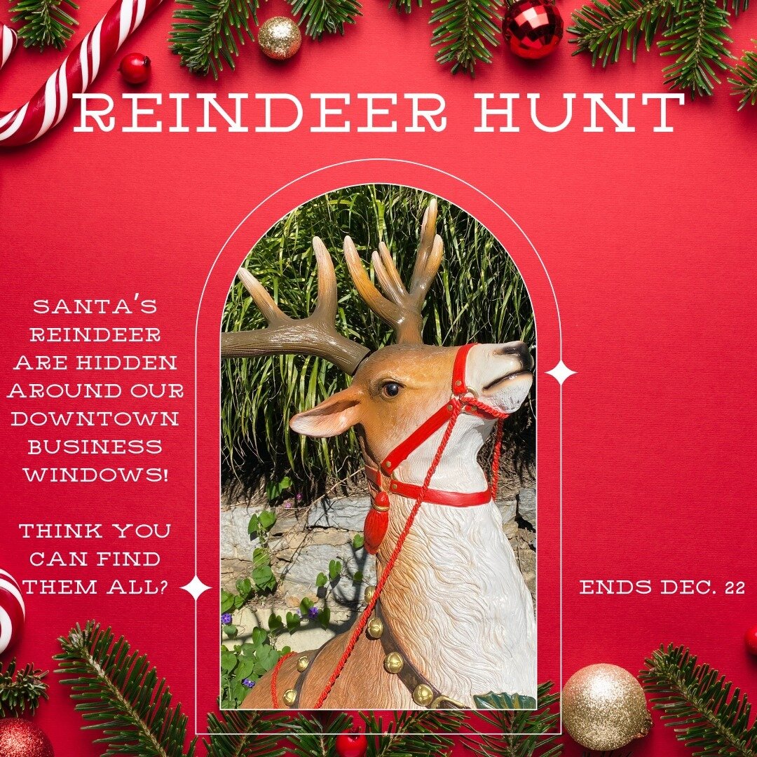 Santa's reindeer have run away! They are hidden across our downtown business windows. Think you can find them all? Enter the contest today! 

Link in bio.

#SDDA #StauntonDowntown #SaturdaysinDecember #ReindeerHunt