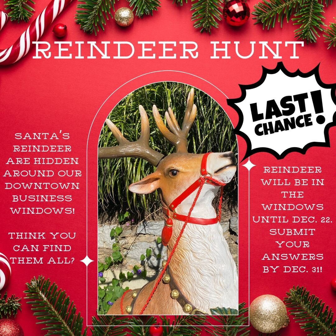 ⏰ HURRY HURRY⏰ It's almost time for Santa to leave for the North Pole! His reindeer are still lost and scattered throughout our downtown business windows. He needs your help finding them!

Think you can find them all? Enter the contest today!

Link i