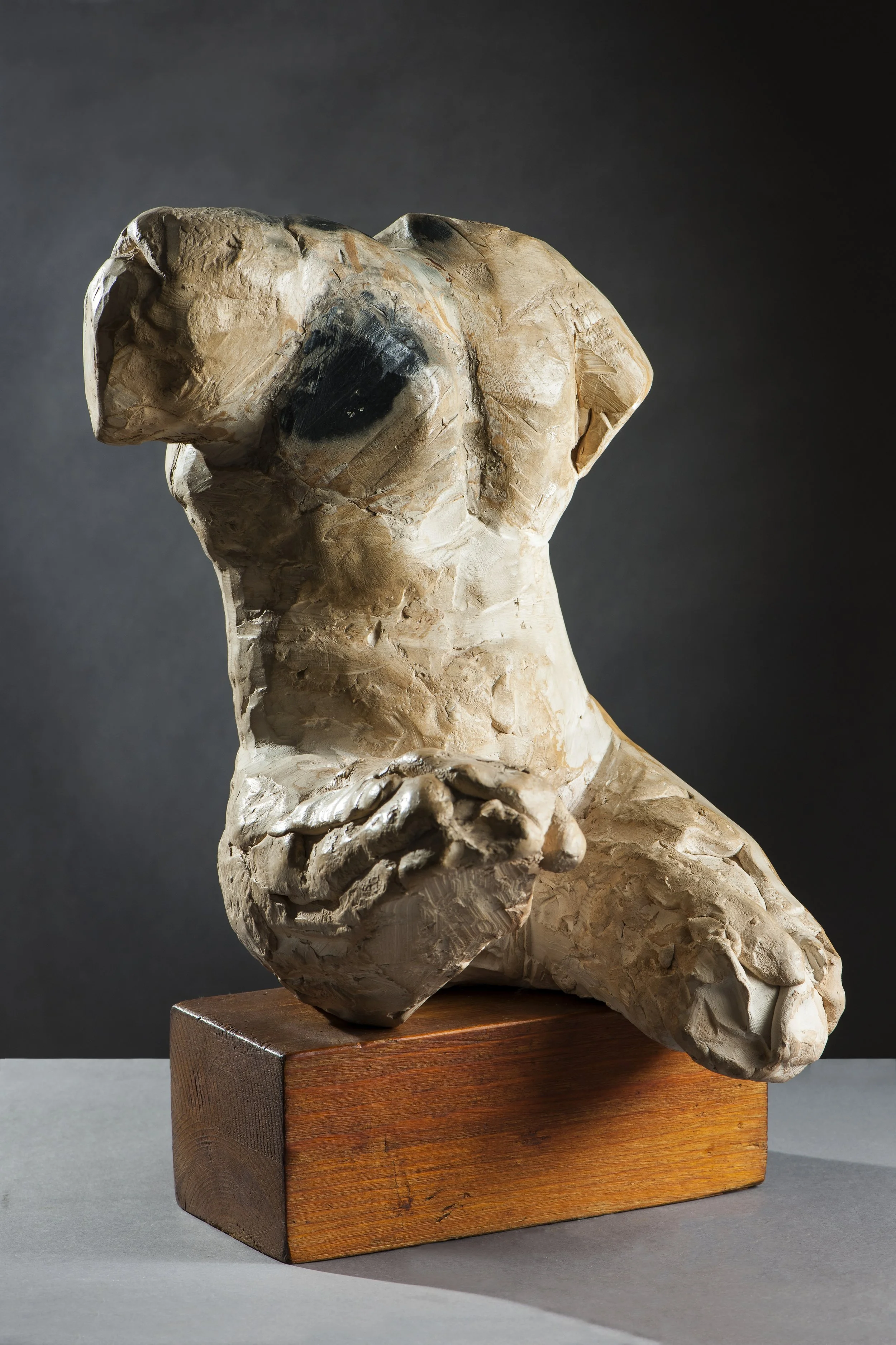 Torso Artistico in Terracotta - 1991