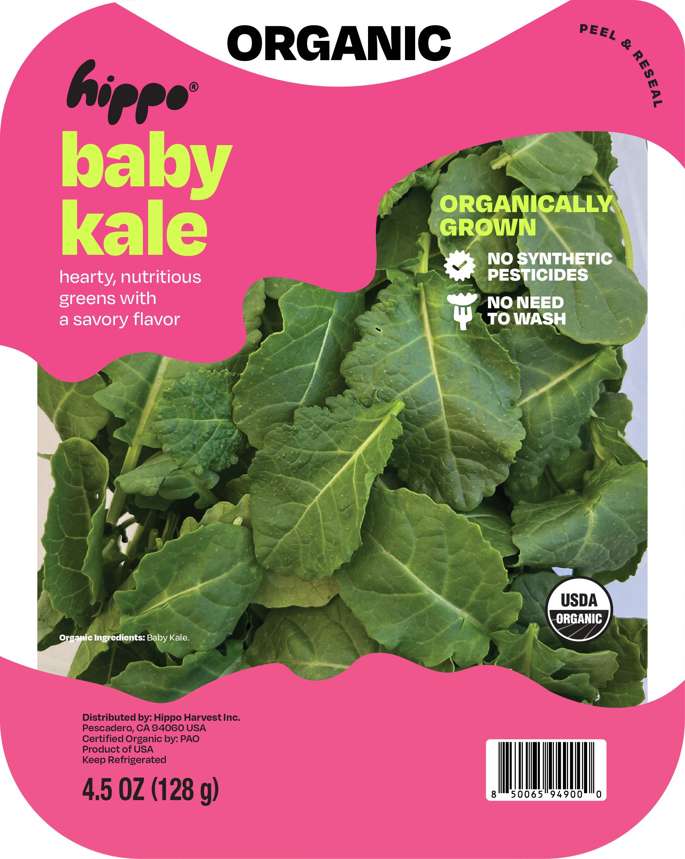 O Baby Kale.png